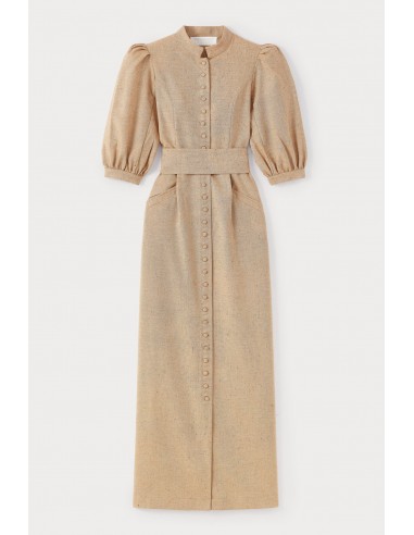 CHESTNUT Puff Sleeve Maxi Dress en ligne