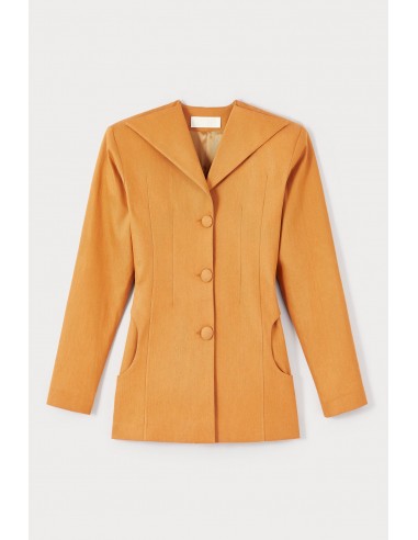 ORANGE Denim Jacket with Wide Lapels and Button Detail suggérées chez