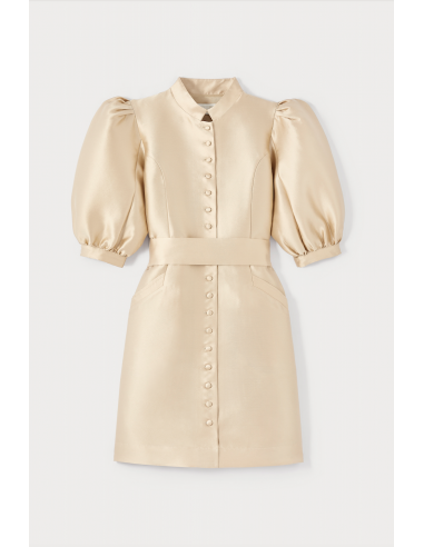 BEIGE Satin Puff Sleeve Mini Dress suggérées chez