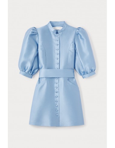 NIAGARA BLUE Satin Puff Sleeve Mini Dress ou a consommer sur place