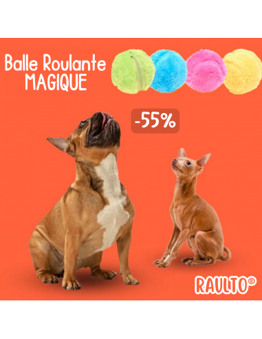 Raulto® Balle de Jeu Magique pour Animal en stock