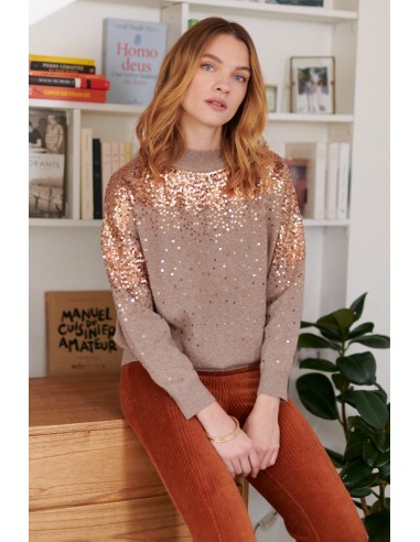 Pull Uni et Paillettes JOANNE en ligne des produits 